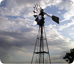 La Calandria
